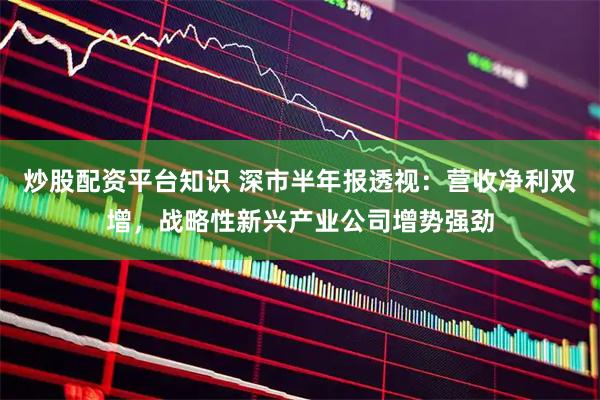 炒股配资平台知识 深市半年报透视：营收净利双增，战略性新兴产业公司增势强劲